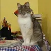 Отзыв от Серафима Дмитриева